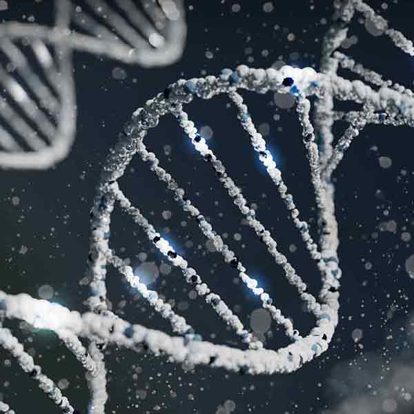 Epigenetics and RNA Biology