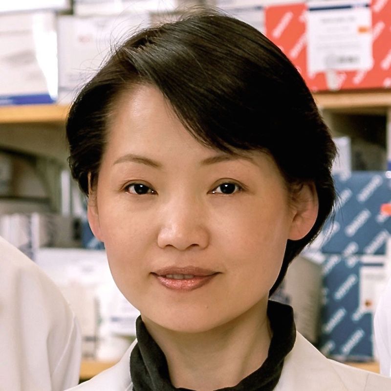 Dr. Jean J. Zhao